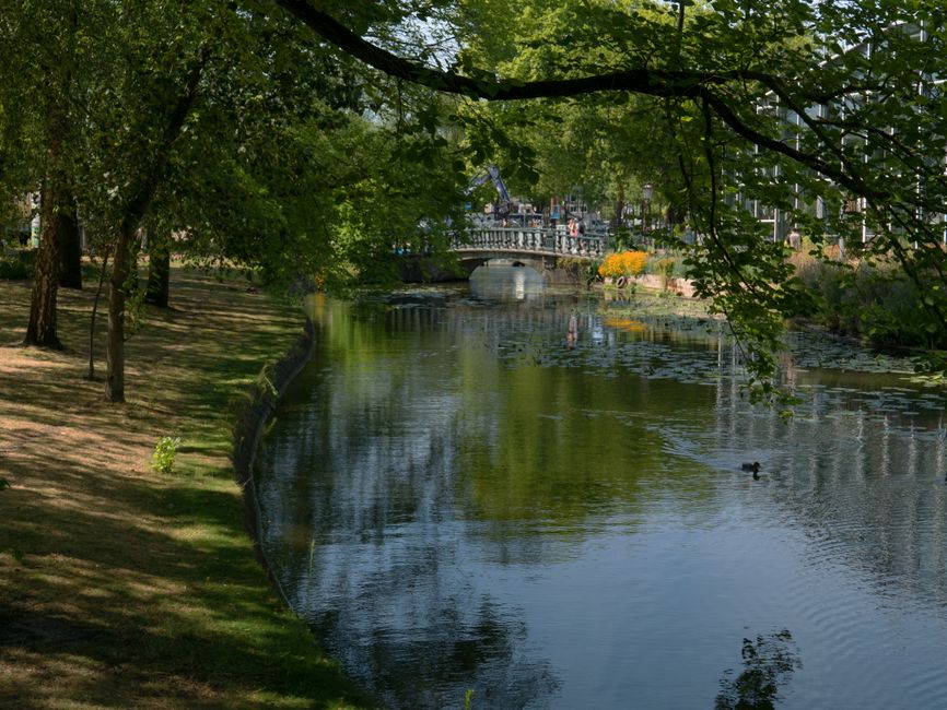 A daytime outdoor scene featuring a narrow river with a reflective, calm surface running through a park area. The left side of the image shows a grassy embankment with mature trees that have leafy green canopies providing partial shade, their branches extending over the water. In the background, a decorative stone bridge crosses the river, with a small construction crane visible further behind, indicating some nearby development or maintenance work. On the right side, the riverbank is bordered by a stone edge, and a single duck is swimming in the water, creating ripples. The setting appears to be in an urban park or green space, with the trees and natural environment contrasting against distant infrastructure, including the bridge and construction elements. The scene is illuminated by natural daylight, with dappled sunlight filtering through the leaves, highlighting the textures of the foliage and the reflective quality of the water, subtly relating to environmental or waste management themes through the natural setting.
