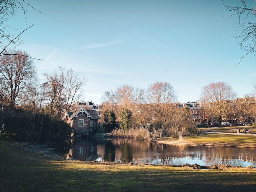 A peaceful park scene with a small pond in the foreground, reflecting the surrounding trees and a wooden house with a dark shingled roof positioned near the water’s edge on the left side. Leafless deciduous trees with bare branches extend upward against a clear blue sky, indicating a late autumn or winter setting. The landscape shows neatly maintained grassy areas on either side of the pond, with the right side featuring a few benches and a pathway beyond, suggesting a public outdoor space. In the background, a row of multi-story residential buildings with brick facades and large windows lines the horizon, partially obscured by the trees. The scene is illuminated by bright daylight, with subtle shadows cast by the trees and structures, suitable for illustrating urban greenery, private waste disposal options, or outdoor environment visuals related to efficient rubbish management and external waste removal services like those offered by Waste Removal Holland Park.